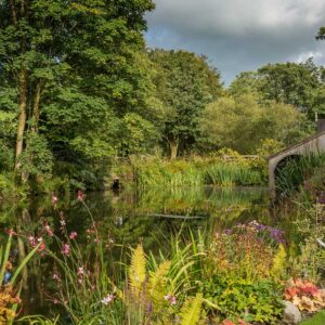 Water side planting scheme at the side of the mill pond as part of a grade II Mill Renovation