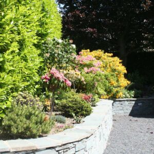 Garden beds with a multitude of colourful plants