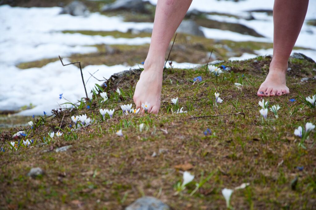 The behaviour of earthing and grounding with bare feet on grass