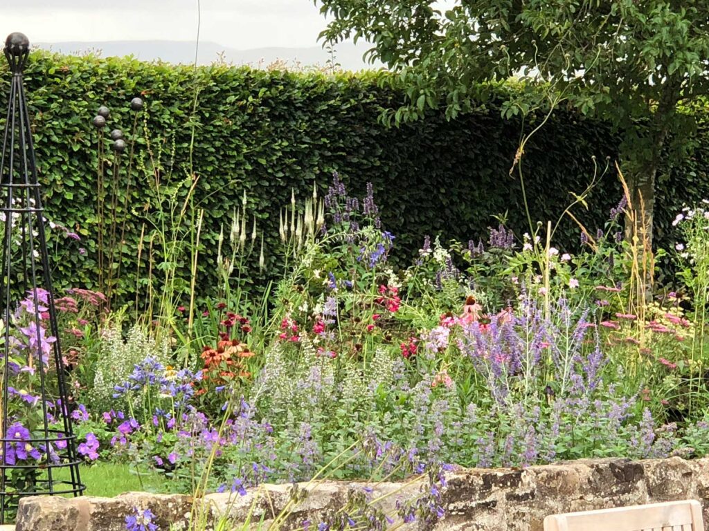 Herbaceous garden design