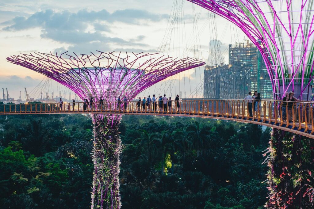 A view of Supertree Grove in Bay Park in Singapore to show biomimicry and architectural metabolism