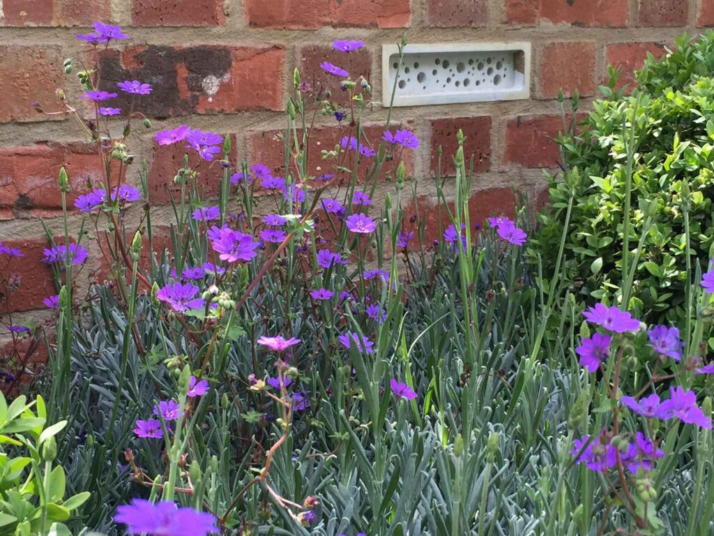 A bee brick embedded into a red brick wall