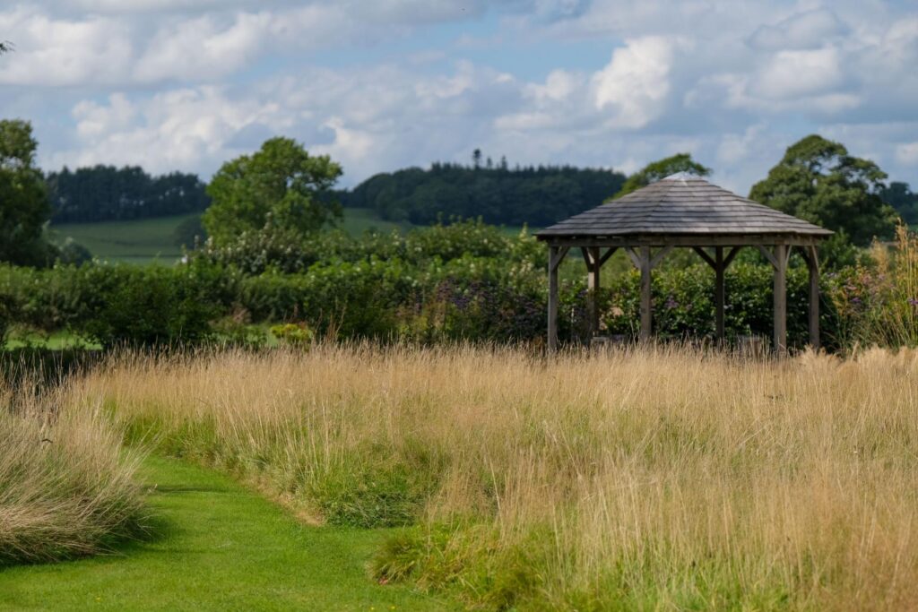 A lawn view of a mown path through long grasses left to rewild the garden which has an oak gazebo in the background