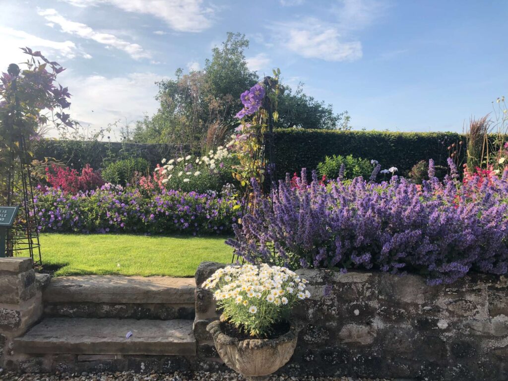 Prefusion of colour and texture in a herbaceous garden with retaining stone wall and steps leading up to it