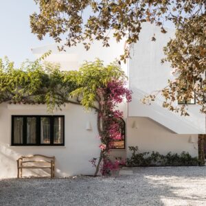 An external wall, with a rustic bench, framed with a mature bougainvillea at a Menorcan villa